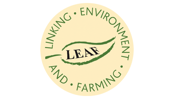 leaf-logo